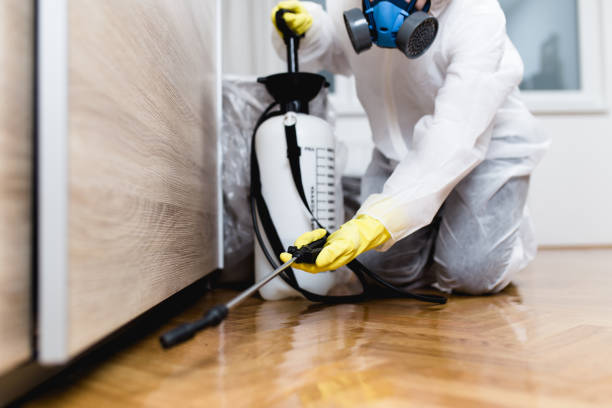 Reliable Northlake, IL Pest Control Solutions