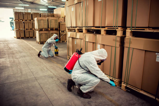 Pest Prevention Services in Northlake, IL