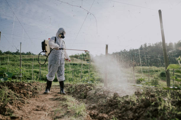 Best Local Pest Control Services  in Northlake, IL