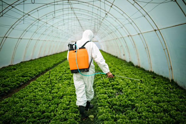 Best Best Pest Control Companies  in Northlake, IL