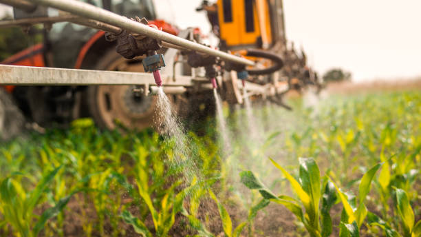 Best Pest Control Treatment  in Northlake, IL